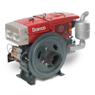 Motor Branco 22hp BDA - 22.0 RAE - Radiador e P. Elétrica