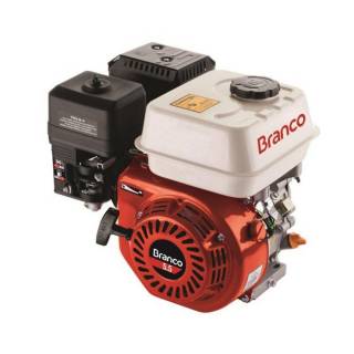 MOTOR B4T 6,5 Part. Manual Filtro ar a oleo