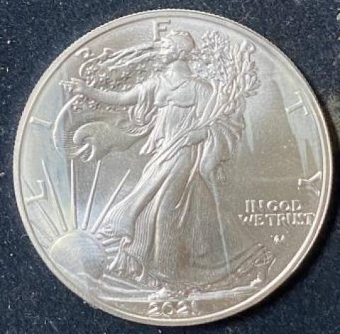Moeda dos EUA de Prata de 1OZ 2021 