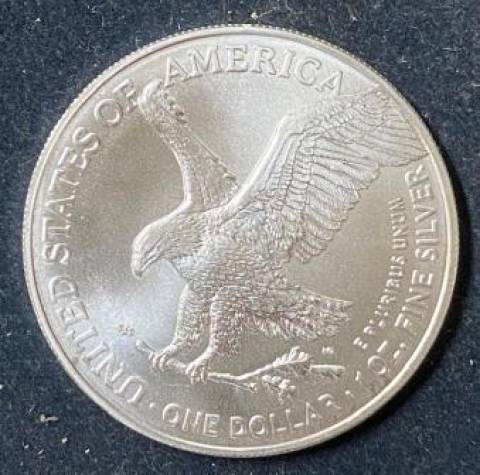 Moeda dos EUA de Prata de 1OZ 2021 