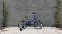 Bicicleta Agile Aro 16 MODELOS