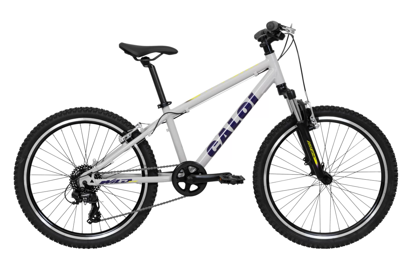 Bicicleta Caloi Wild 8v Aro 24