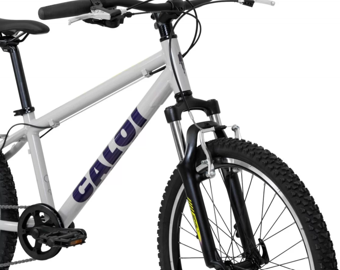 Bicicleta Caloi Wild 8v Aro 24