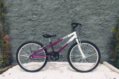 Bicicleta Agile 1v Aro 24 Feminina