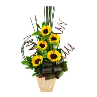 Pesquisa por girassol, Flores, Vasos Plantados, presente homem, flor natural,  flor maternidade, flor para mãe