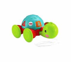 Empurra Tartaruga Fisher Price -  Mattel Y8652