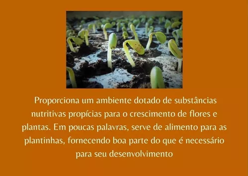 Terra Vegetal Adubada 10 Litros Terra Boa 100% Orgânico