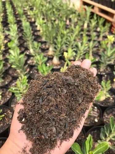 Substrato Mix Rosa Do Deserto Jardim Premium 1l