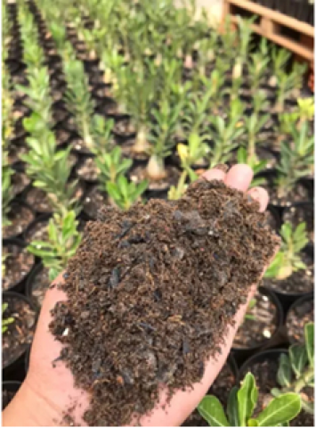 Substrato Mix Rosa Do Deserto Jardim Premium 5l - Terra Boa