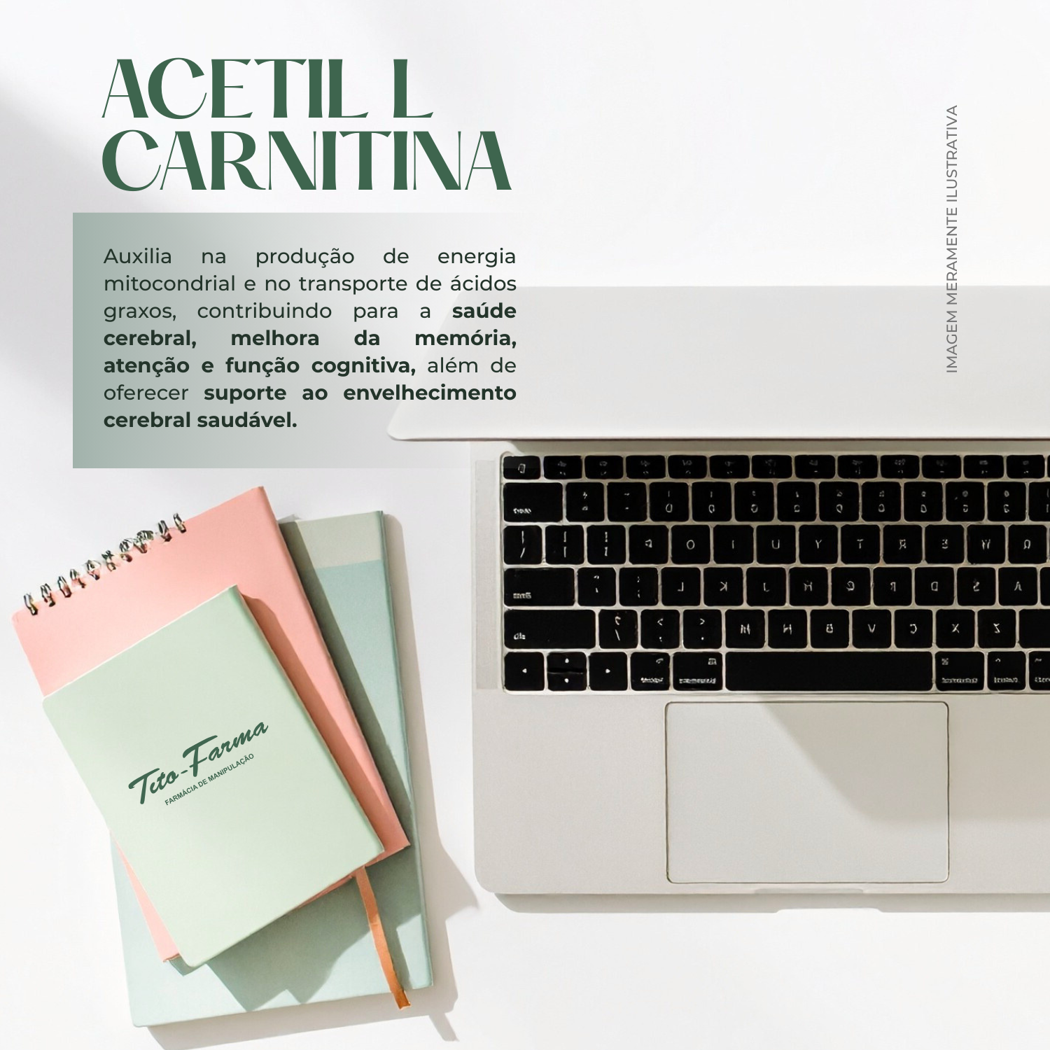 Acetil L Carnitina 500mg - 60 doses