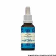 Sensação de Perfeccionismo 31ml Bio Florais