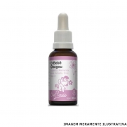 Bio Florais Veterinário - Bebê Chegou 
