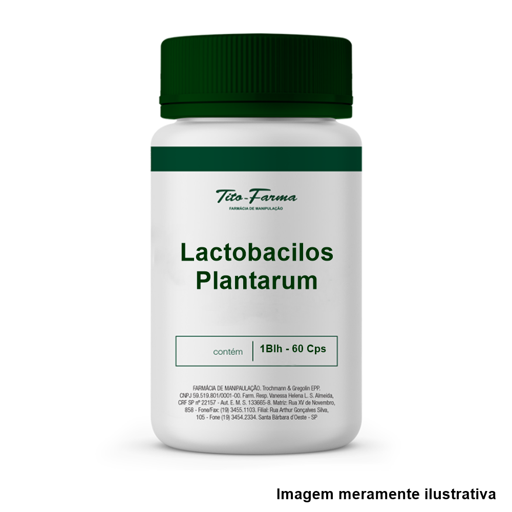 Lactobacillus Plantarum - 1Blh - 60 Cps - Tito Farma 