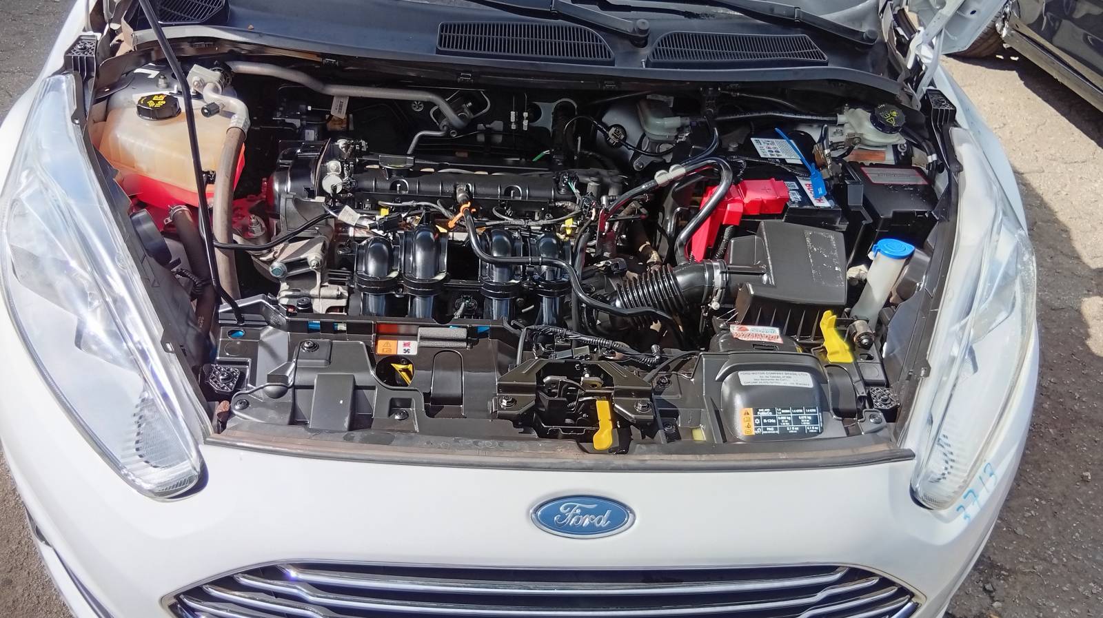 Motor - Sigma FIESTA 1.6 16v Aut. Flex 16/16 - MRX Auto Peças 