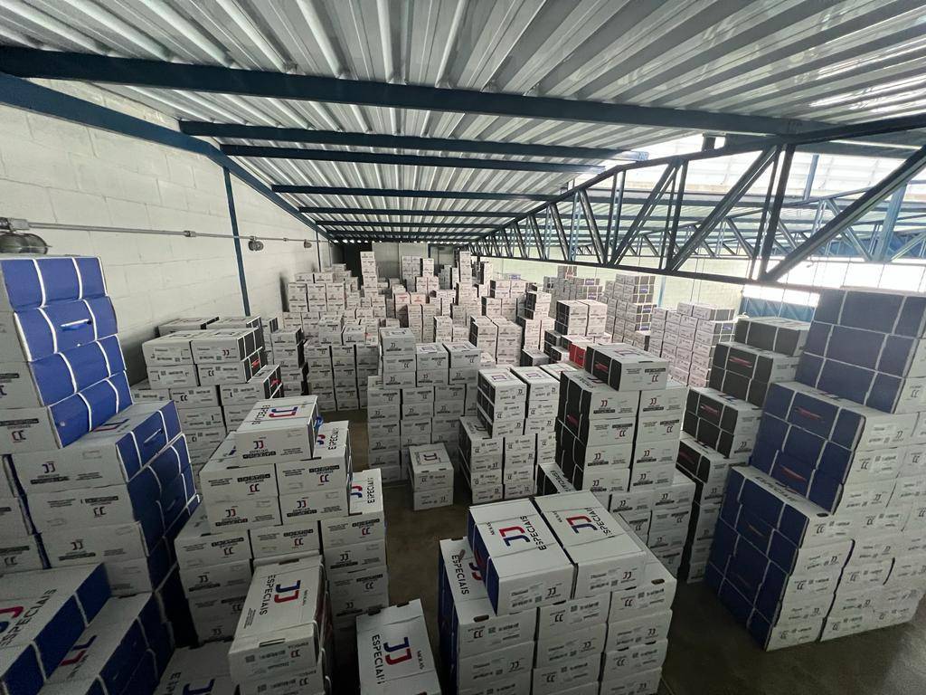 Esportivas-FOCUS G2 (2009/2013)