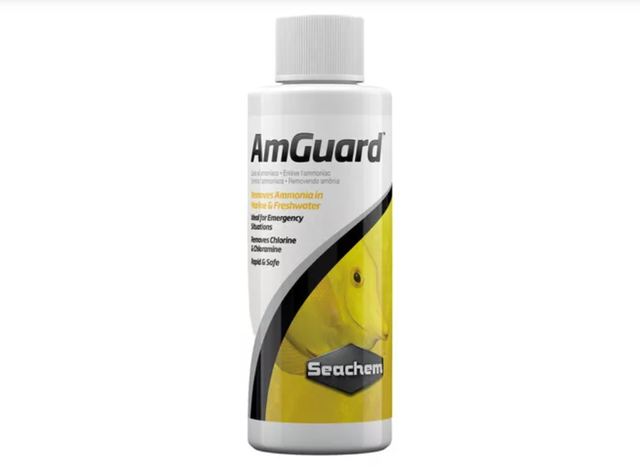 Seachem AmGuard 100ml Removedor de Amonia
