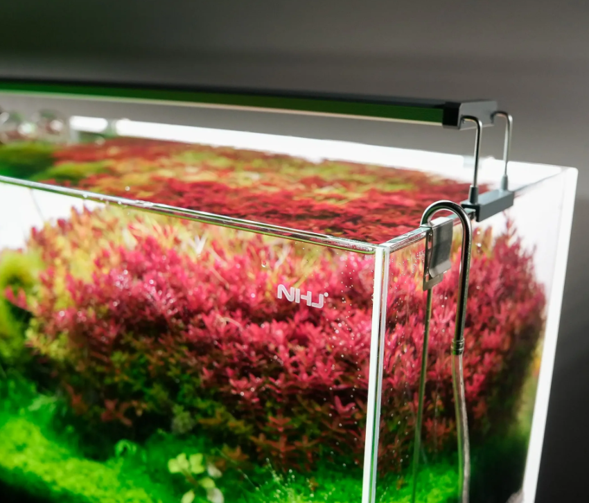 Luminária Chihiros SERIE B 60 Bivolt - Aquamazing Fish Store