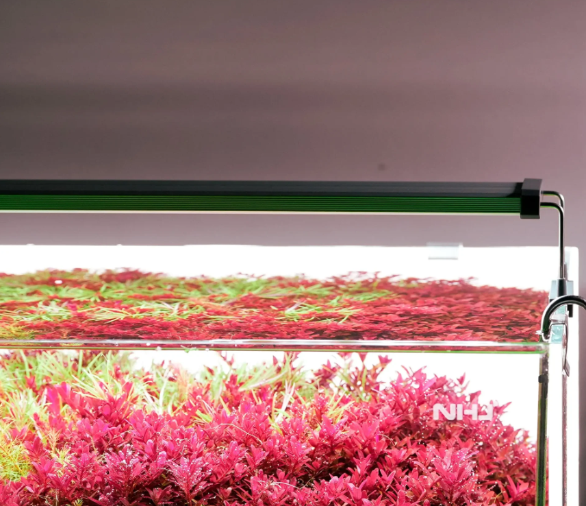 Luminária Chihiros SERIE B 60 Bivolt - Aquamazing Fish Store