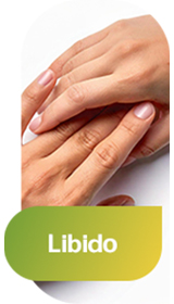 Banner Promocional 
