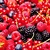 Frutas Vermelhas